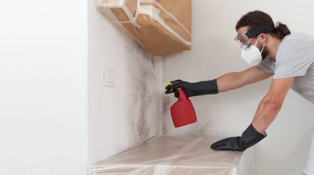 Professional Bathroom Mold Removal technician working in Wayne, PA