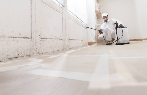 24/7 Emergency Bathroom Mold Removal experts in Wayne, PA