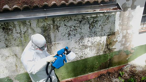 Top rated local Bathroom Mold Removal specialists in Wayne, PA